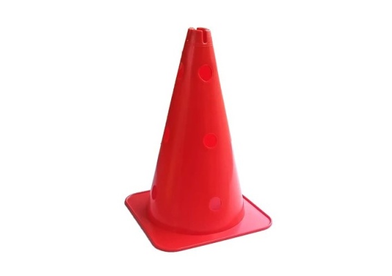 SSP 010